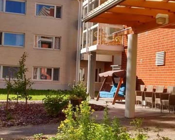 Kiviharju kesällä